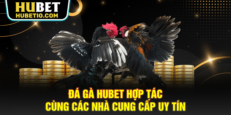 Đá gà HUBET hợp tác cùng các nhà cung cấp uy tín